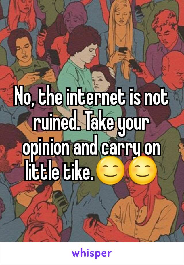 No, the internet is not ruined. Take your opinion and carry on little tike.😊😊