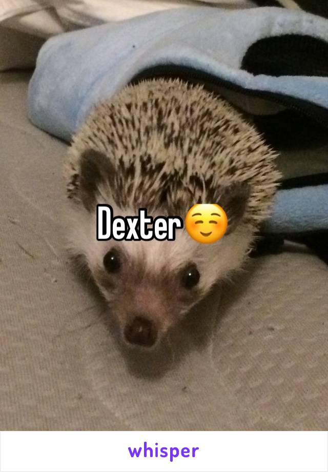 Dexter☺️