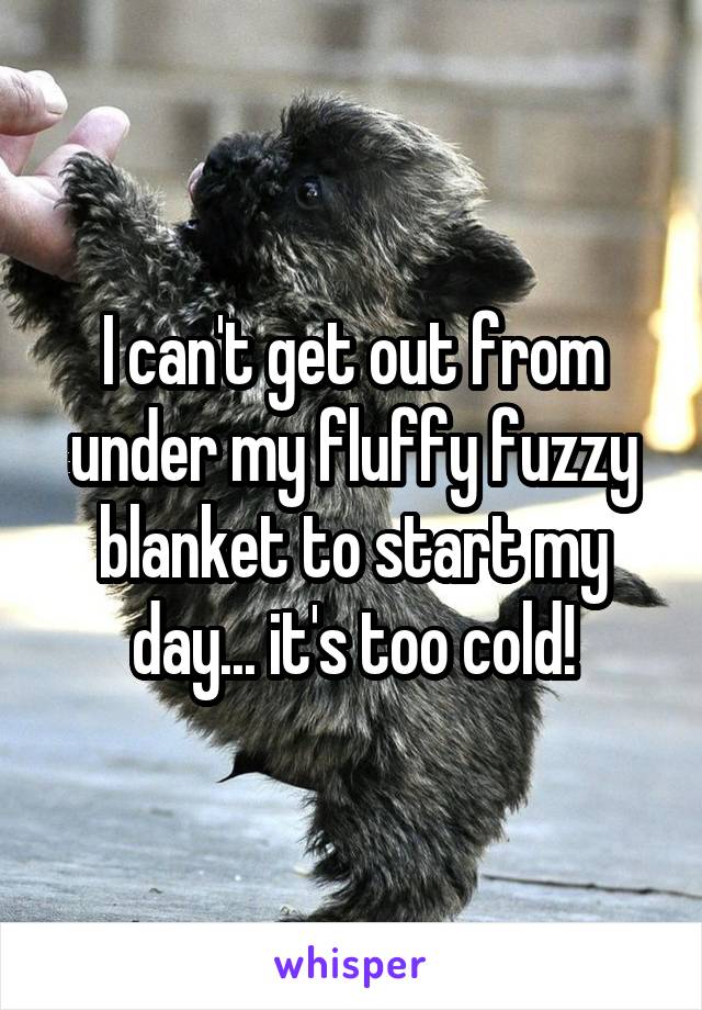 I can't get out from under my fluffy fuzzy blanket to start my day... it's too cold!