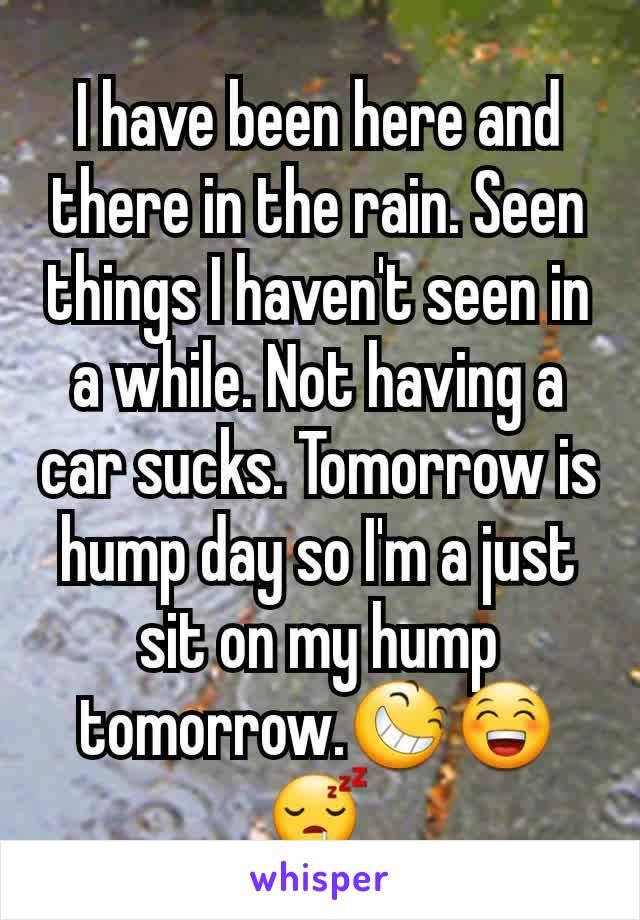 I have been here and there in the rain. Seen things I haven't seen in a while. Not having a car sucks. Tomorrow is hump day so I'm a just sit on my hump tomorrow.😆😁😴