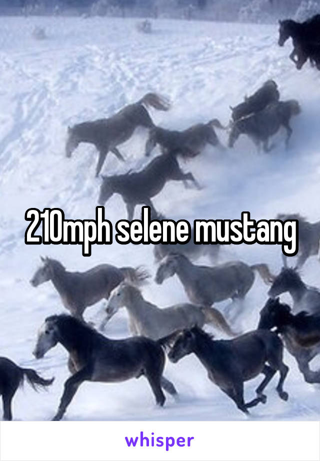 210mph selene mustang