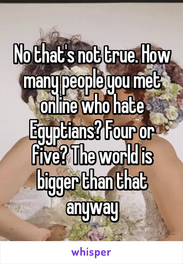 No that's not true. How many people you met online who hate Egyptians? Four or five? The world is bigger than that anyway