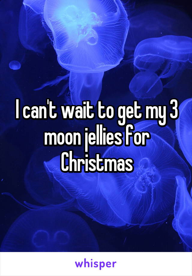 I can't wait to get my 3 moon jellies for Christmas