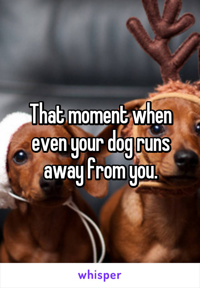 That moment when even your dog runs away from you.