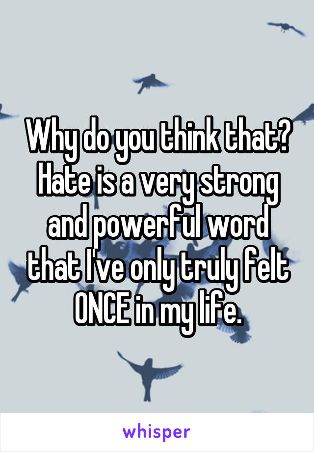 Why do you think that? Hate is a very strong and powerful word that I've only truly felt ONCE in my life.