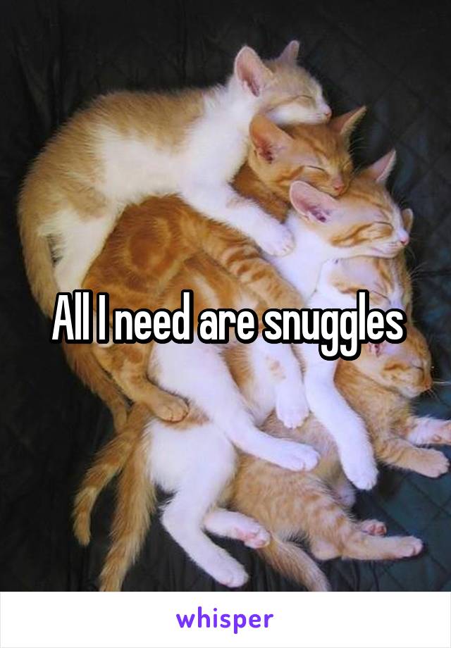 All I need are snuggles