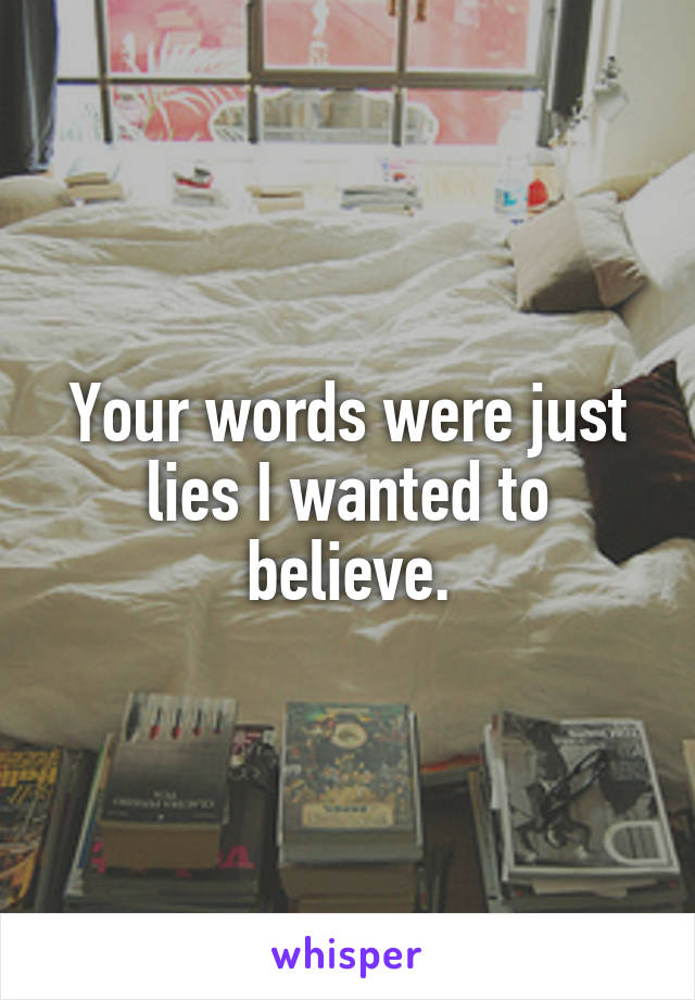 Your words were just lies I wanted to believe.