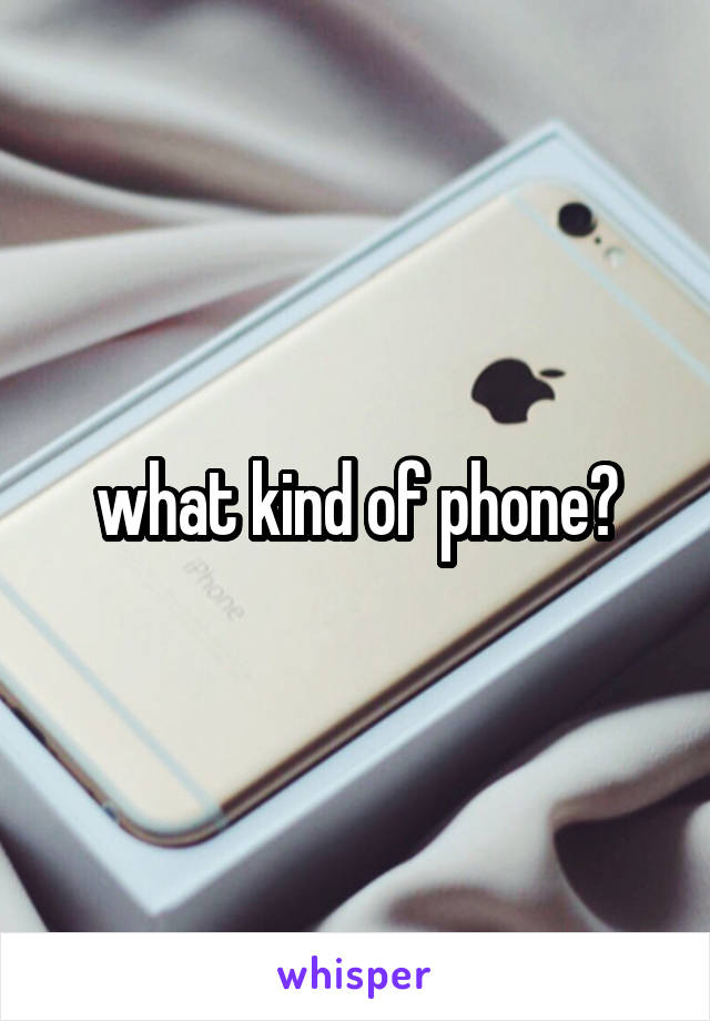 what kind of phone?