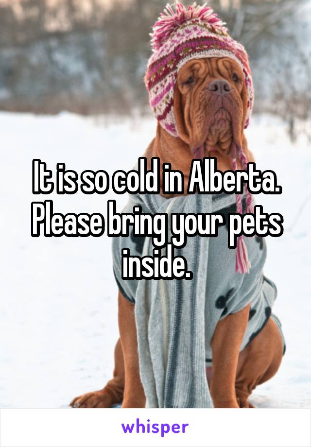 It is so cold in Alberta. Please bring your pets inside.