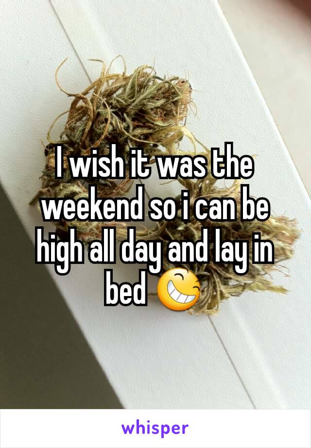 I wish it was the weekend so i can be high all day and lay in bed 😆