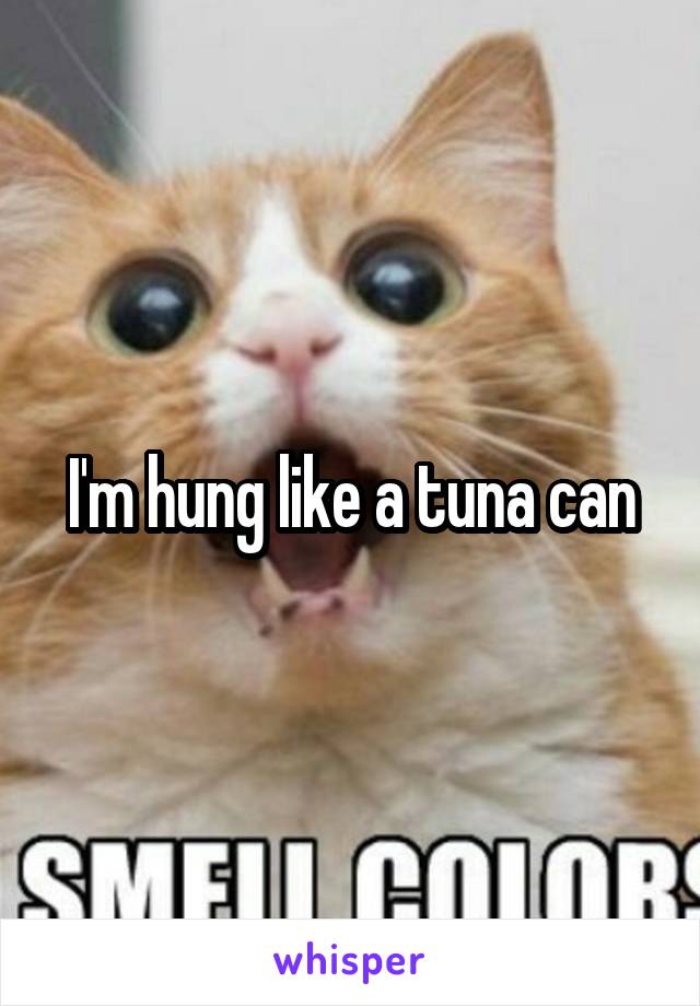 I'm hung like a tuna can