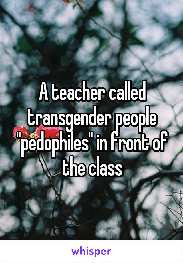 A teacher called transgender people "pedophiles" in front of the class