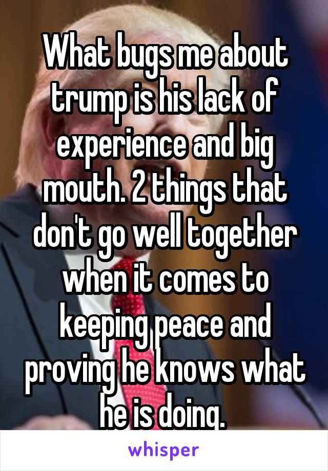 What bugs me about trump is his lack of experience and big mouth. 2 things that don't go well together when it comes to keeping peace and proving he knows what he is doing. 