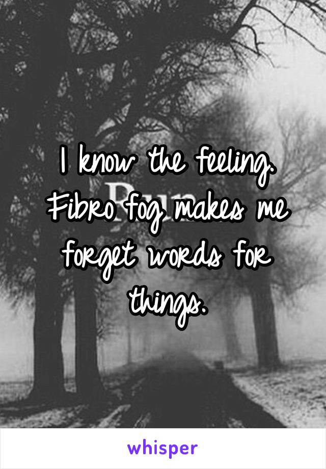 I know the feeling. Fibro fog makes me forget words for things.