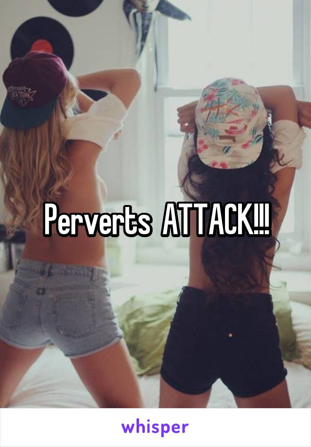 Perverts  ATTACK!!!