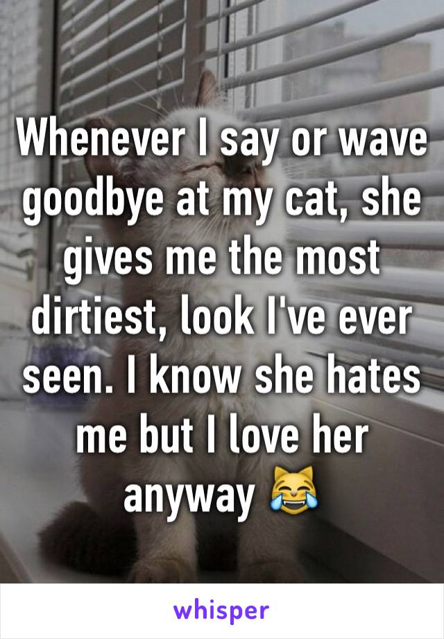 Whenever I say or wave goodbye at my cat, she gives me the most dirtiest, look I've ever seen. I know she hates me but I love her anyway 😹