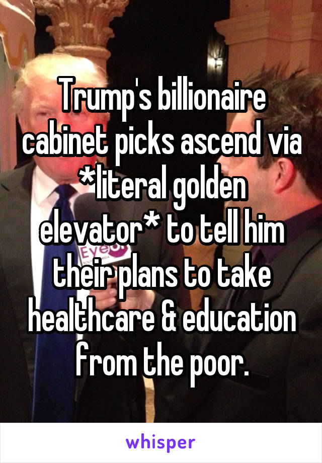 Trump's billionaire cabinet picks ascend via *literal golden elevator* to tell him their plans to take healthcare & education from the poor.