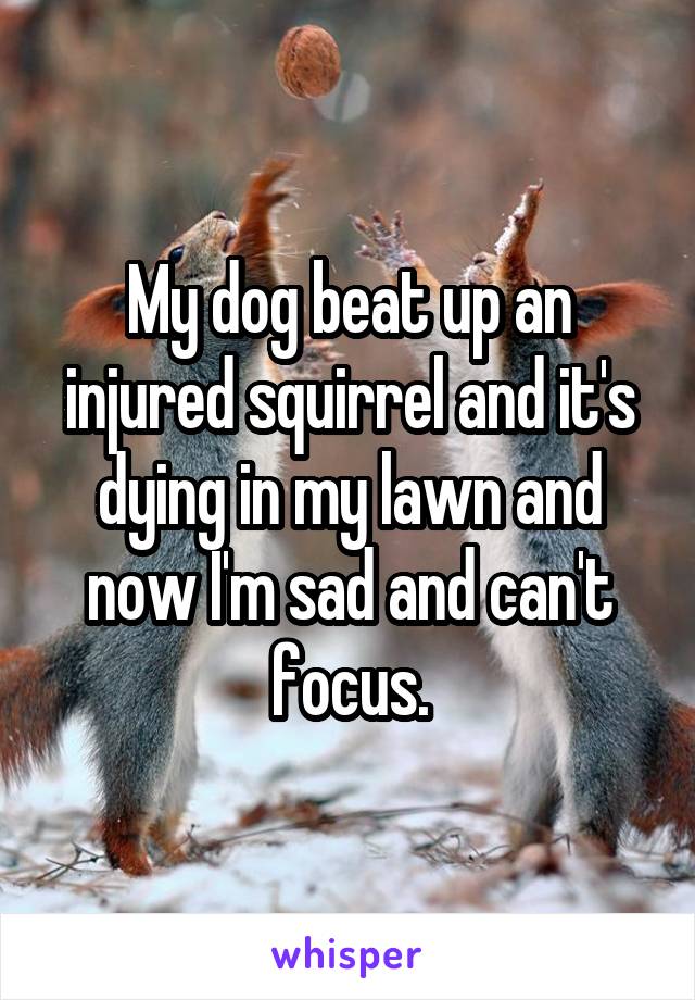 My dog beat up an injured squirrel and it's dying in my lawn and now I'm sad and can't focus.