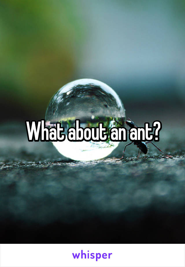 What about an ant?