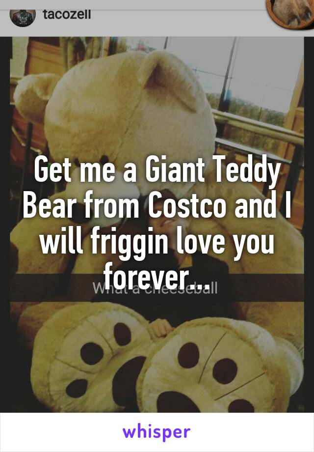 Get me a Giant Teddy Bear from Costco and I will friggin love you forever...