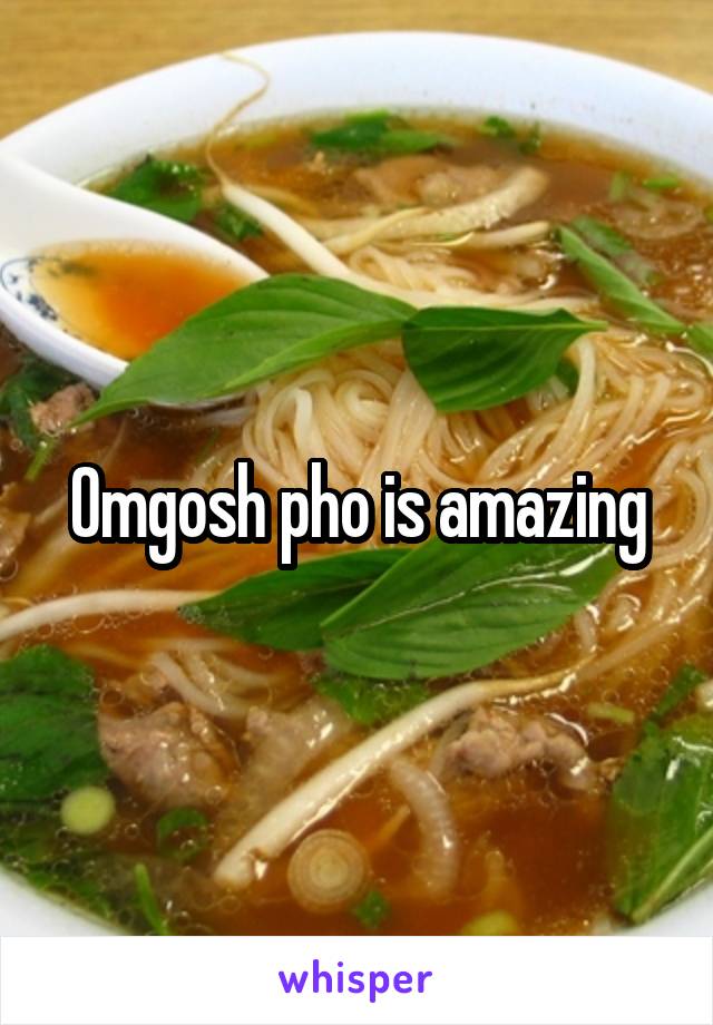 Omgosh pho is amazing