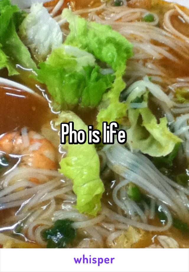 Pho is life 