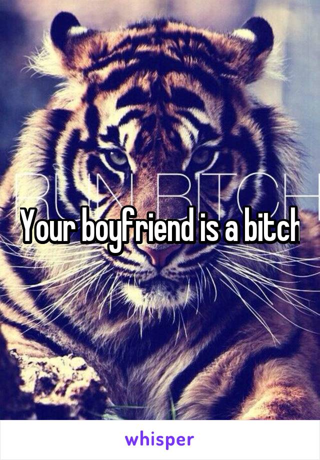 Your boyfriend is a bitch