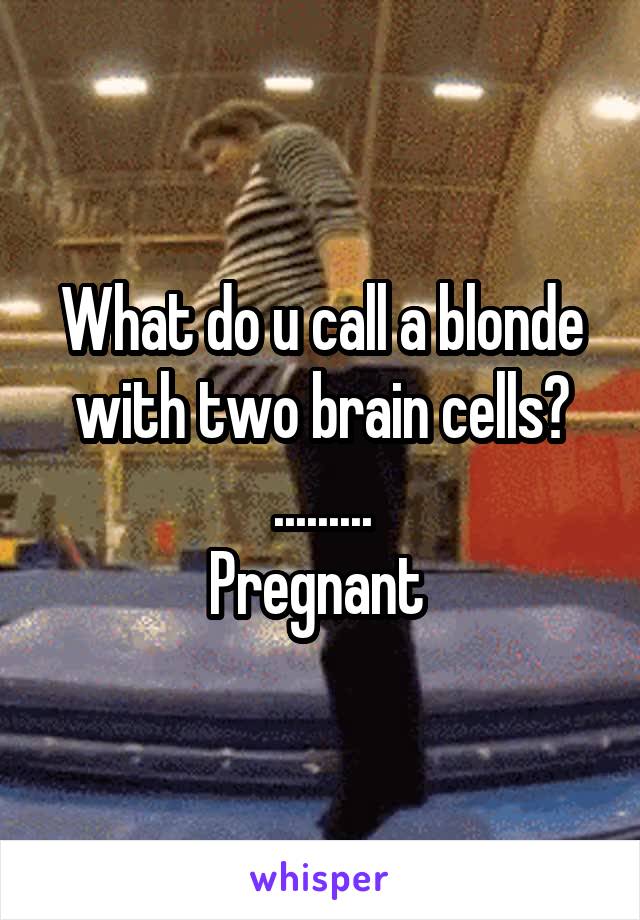 What do u call a blonde with two brain cells?
.........
Pregnant 