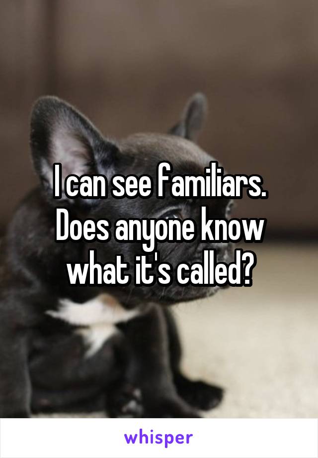 I can see familiars.
Does anyone know what it's called?