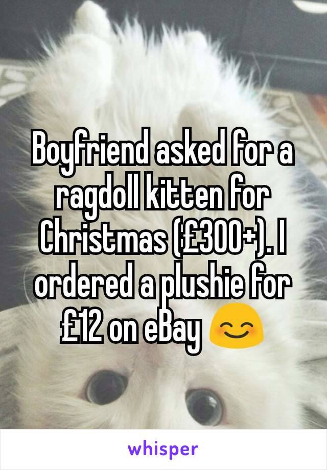 Boyfriend asked for a ragdoll kitten for Christmas (£300+). I ordered a plushie for £12 on eBay 😊