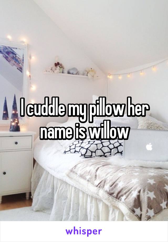 I cuddle my pillow her name is willow