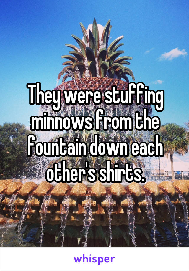 They were stuffing minnows from the fountain down each other's shirts.