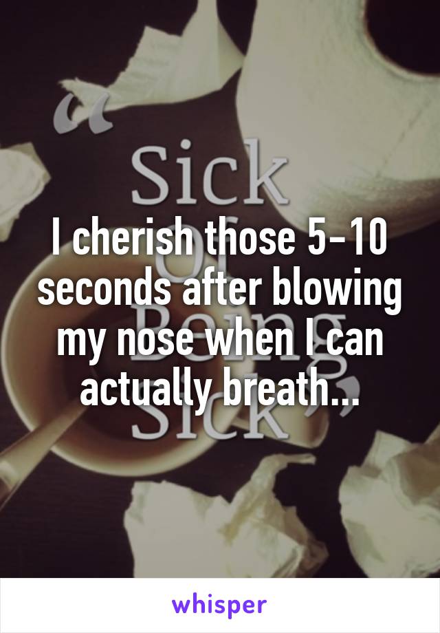 I cherish those 5-10 seconds after blowing my nose when I can actually breath...