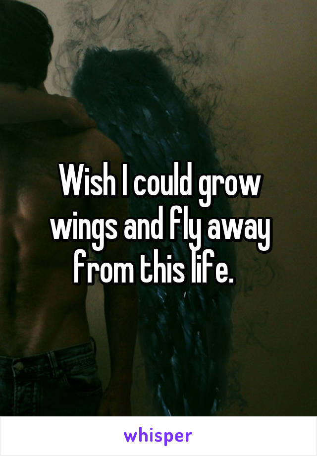 Wish I could grow wings and fly away from this life.  