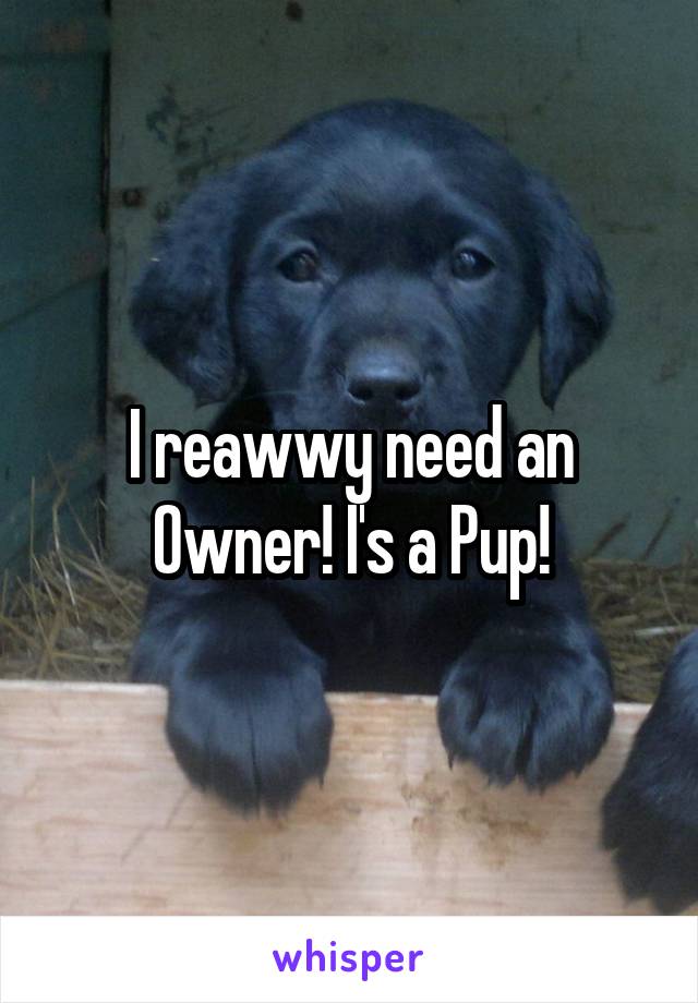 I reawwy need an Owner! I's a Pup!