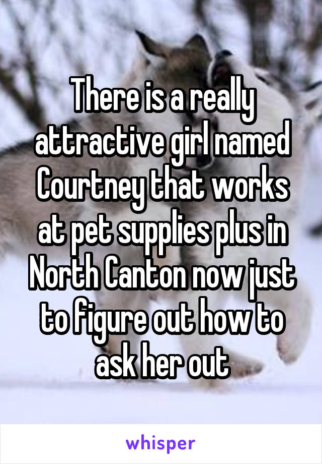 There is a really attractive girl named Courtney that works at pet supplies plus in North Canton now just to figure out how to ask her out