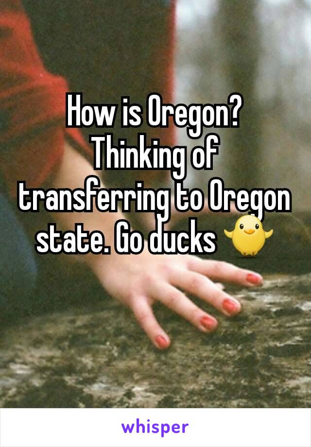 How is Oregon? Thinking of transferring to Oregon state. Go ducks 🐥