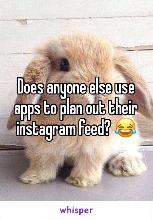 Does anyone else use apps to plan out their instagram feed? 😂