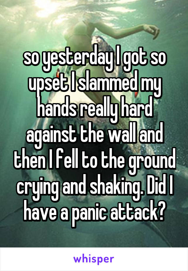 so yesterday I got so upset I slammed my hands really hard against the wall and then I fell to the ground crying and shaking. Did I have a panic attack?