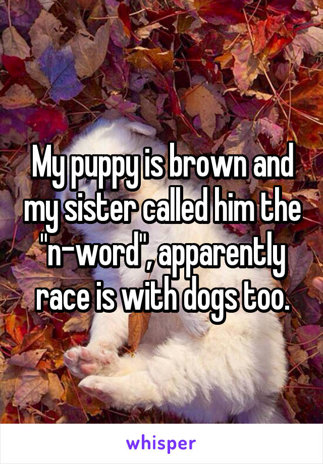 My puppy is brown and my sister called him the "n-word", apparently race is with dogs too.