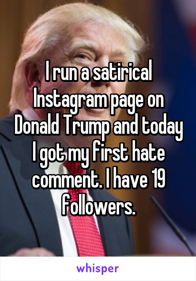 I run a satirical Instagram page on Donald Trump and today I got my first hate comment. I have 19 followers.