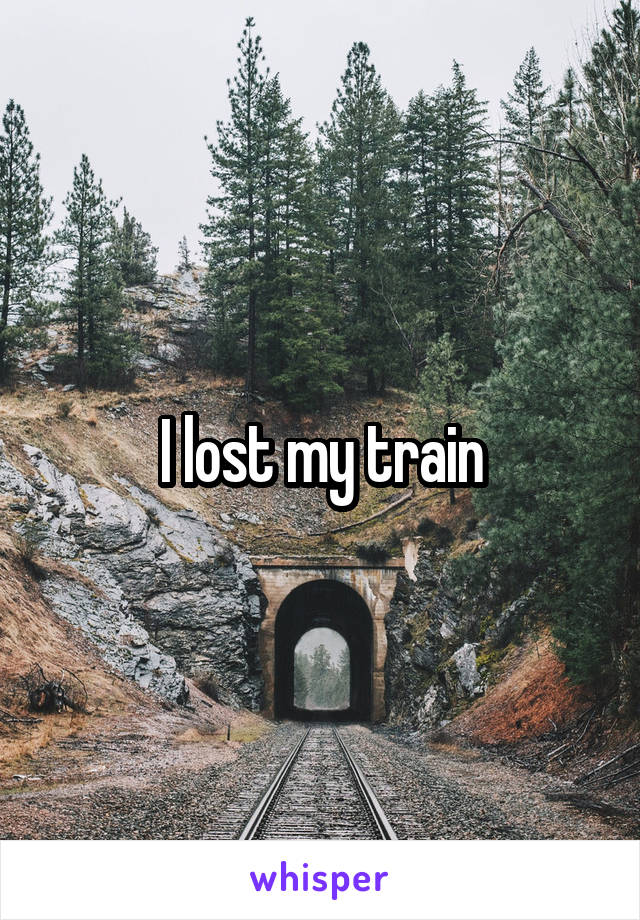 I lost my train