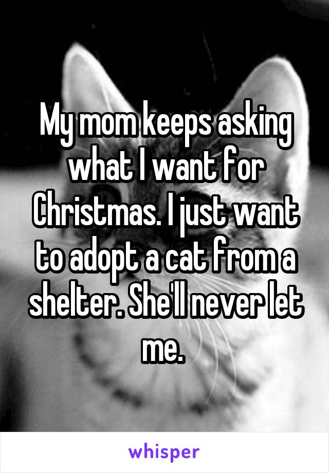 My mom keeps asking what I want for Christmas. I just want to adopt a cat from a shelter. She'll never let me. 