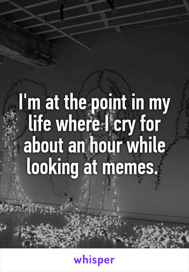 I'm at the point in my life where I cry for about an hour while looking at memes. 