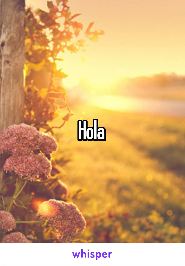 Hola 