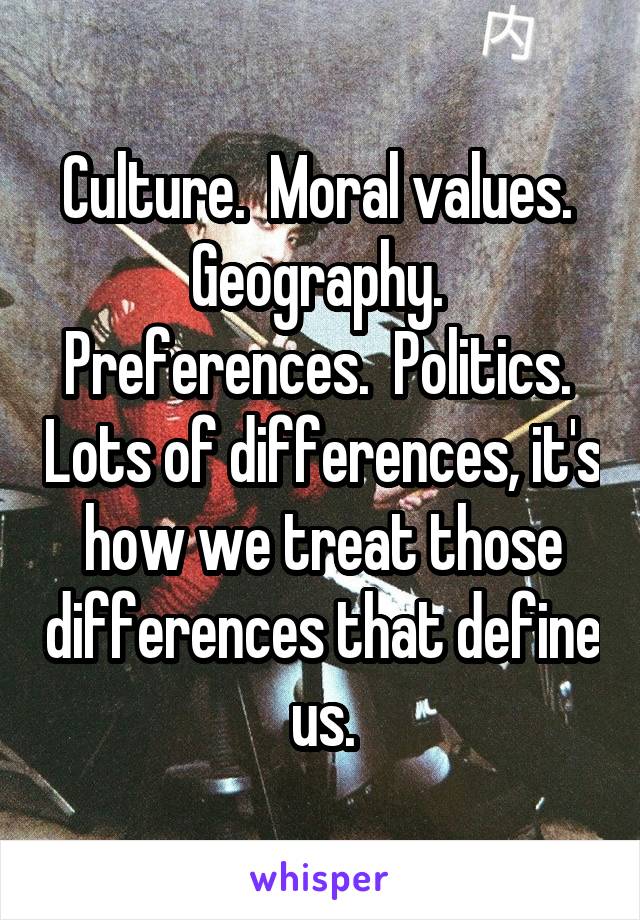 Culture.  Moral values.  Geography.  Preferences.  Politics.  Lots of differences, it's how we treat those differences that define us.