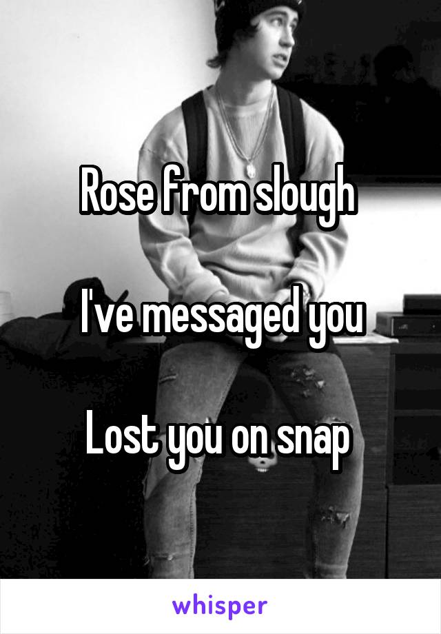 Rose from slough 

I've messaged you

Lost you on snap 