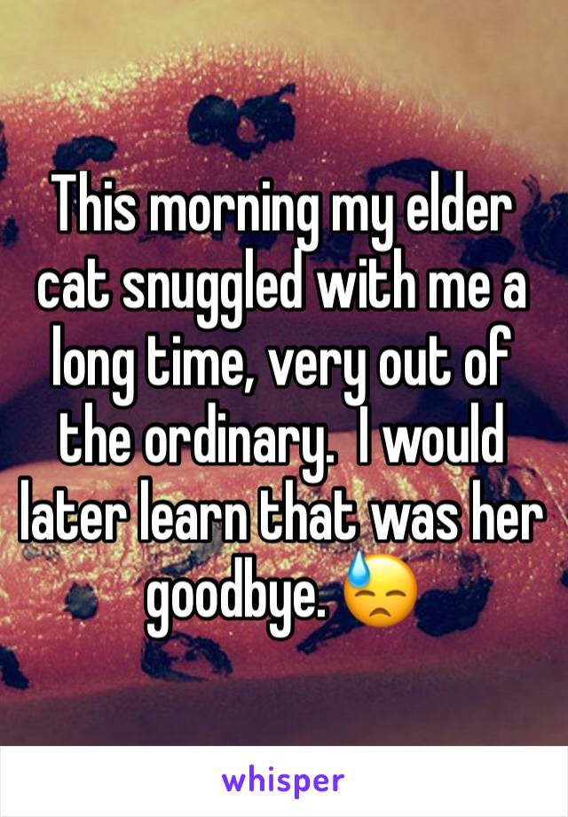 This morning my elder cat snuggled with me a long time, very out of the ordinary.  I would later learn that was her goodbye. 😓