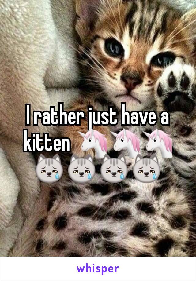 I rather just have a kitten 🦄🦄🦄😿😿😿😿