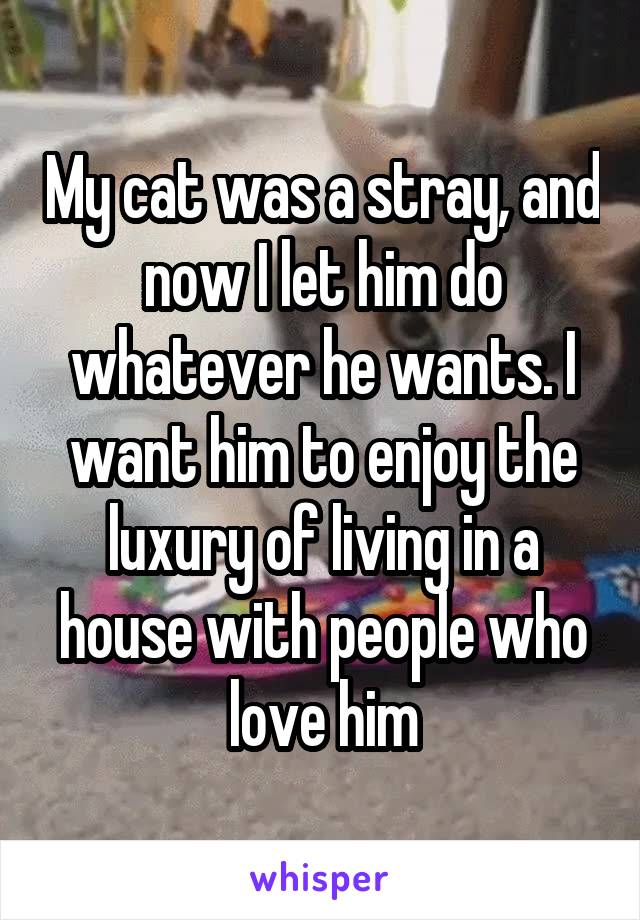 My cat was a stray, and now I let him do whatever he wants. I want him to enjoy the luxury of living in a house with people who love him